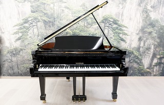 W.Hoffmann Vision V 158 - W.Hoffmann