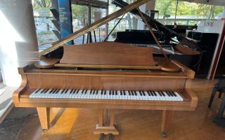 C. Bechstein Flügel Modell L-165, nussbaum satiniert, Baujahr 1972 - C. Bechstein