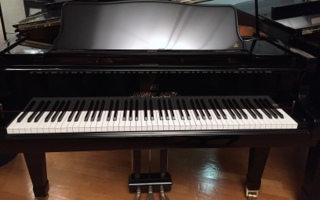 Shigeru-Kawai Flügel SK 6 Baujahr 2018 - Shigeru-Kawai