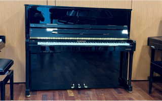 V 120 VARIO duet - W.&nbsp;Hoffmann