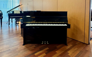 V 2 VARIO duet - W.&nbsp;Hoffmann