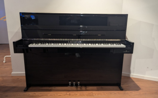 A 114 Modern - C.&nbsp;Bechstein