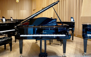 Concert B-212 - C. Bechstein