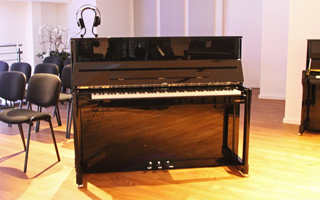 P 120 VARIO - W. Hoffmann