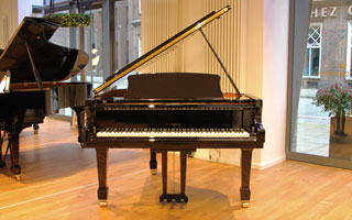 T 161 - W. Hoffmann