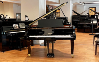 S 160 - Zimmermann