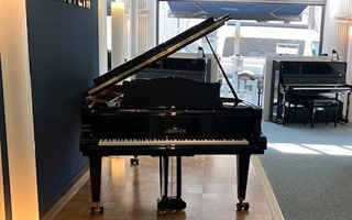 B-212 - C. Bechstein