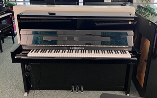 R 116 Millenium VARIO classic - C.&nbsp;Bechstein