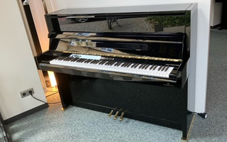 R 116 Millenium - C. Bechstein