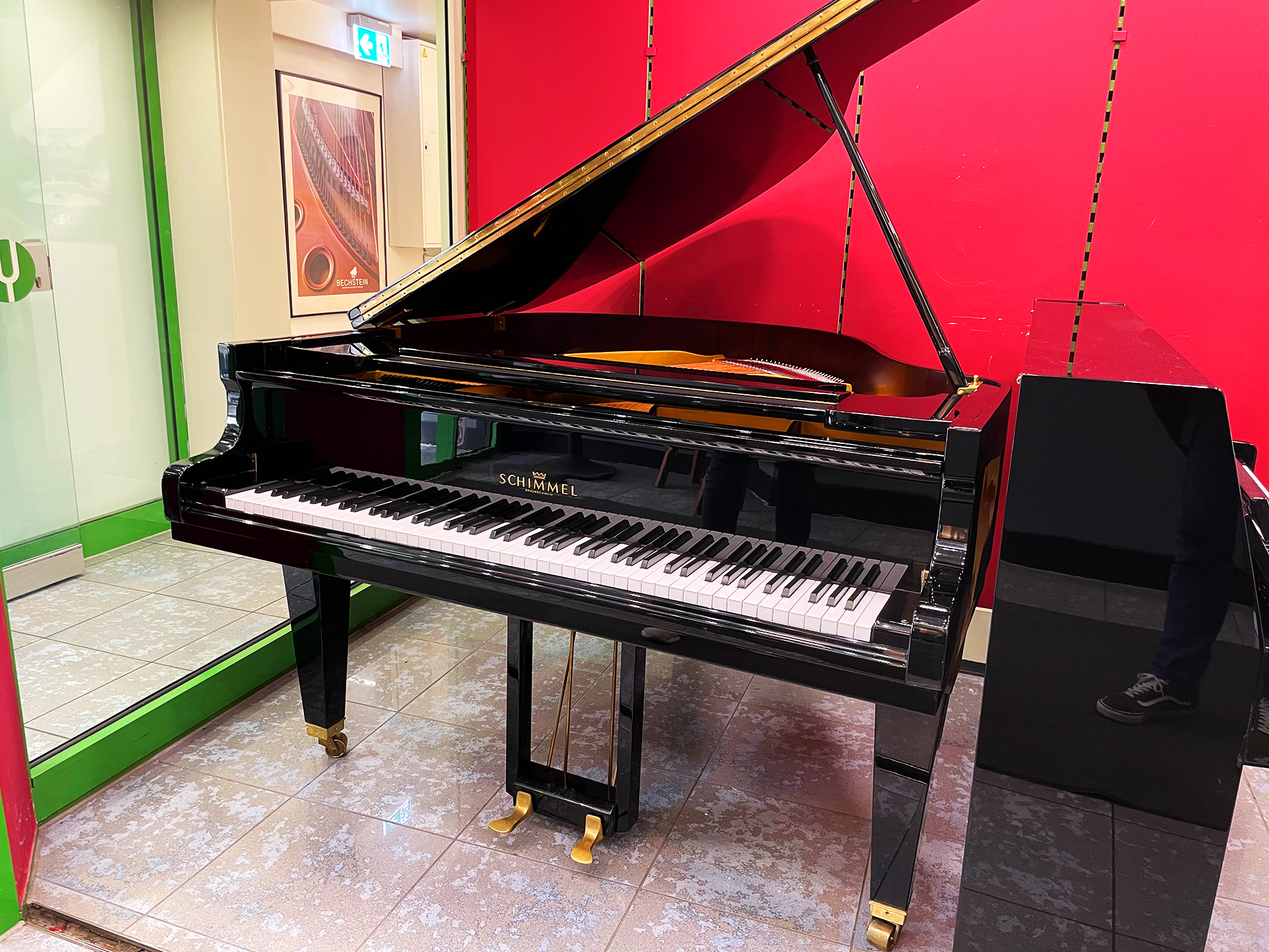 Modell 174 - Schimmel