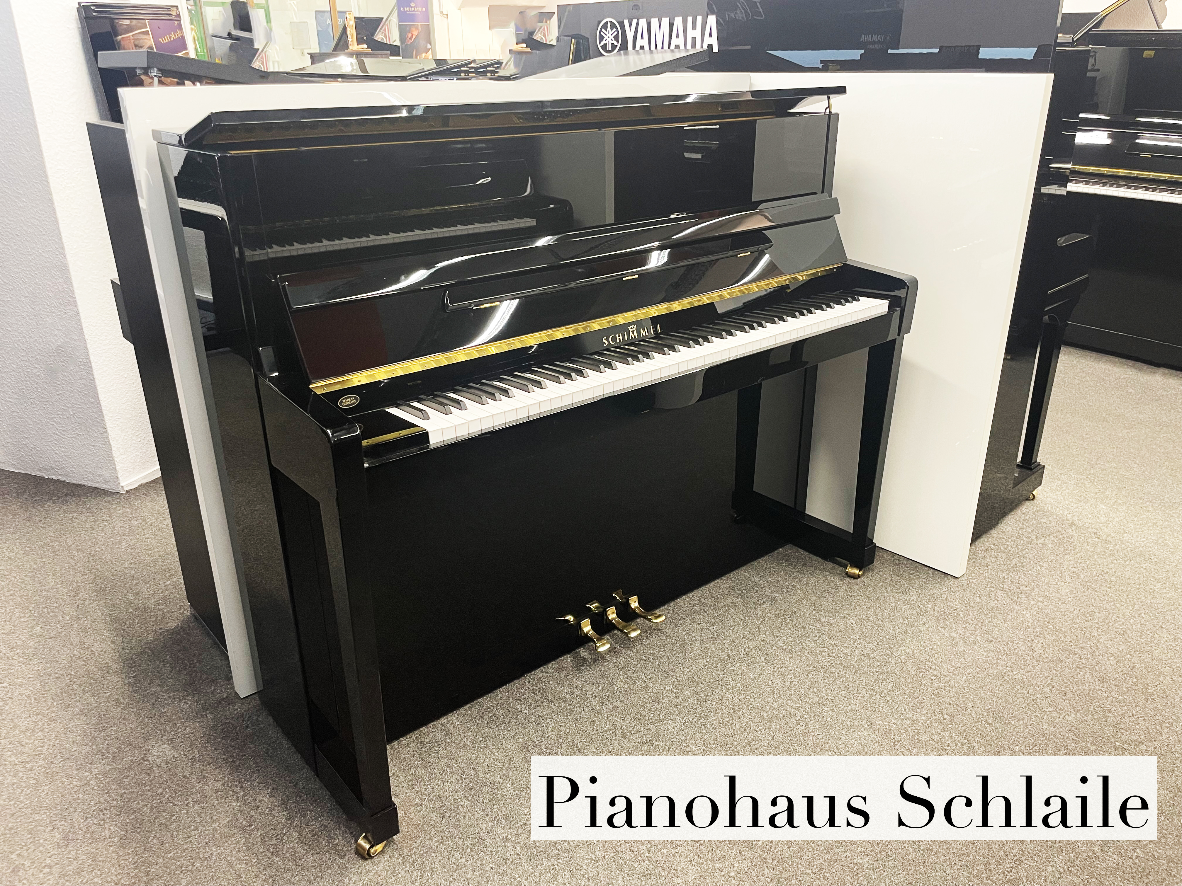 Modell 120 - Schimmel