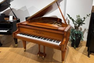 Schimmel 174 T Kirschbaum Intarsie - Schimmel