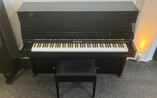 Vision V 2 - W. Hoffmann