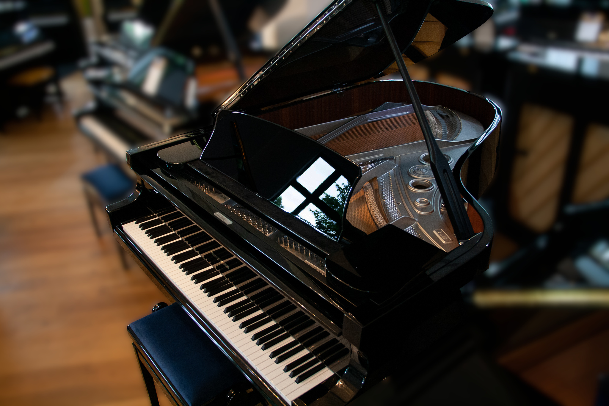 Professional P 188 - W. Hoffmann