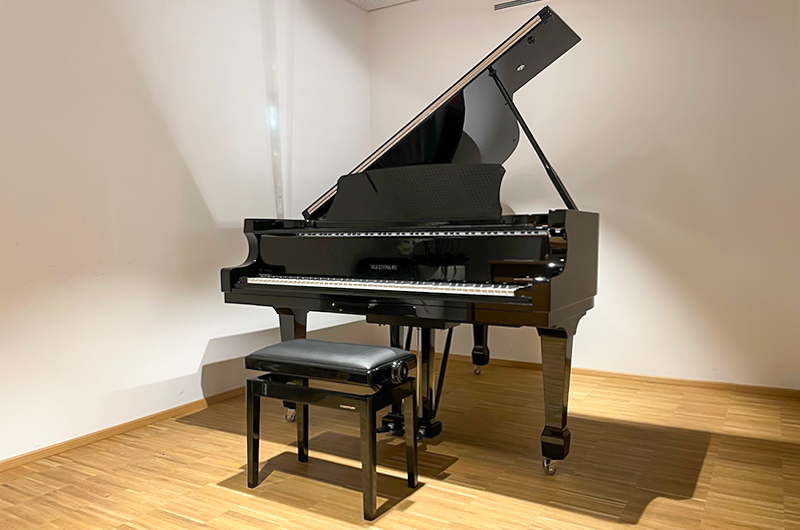 W. Hoffmann Professional P 188 - W.Hoffmann