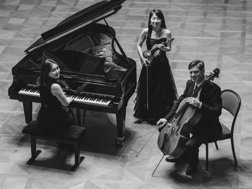 Concert B 212 - C. Bechstein