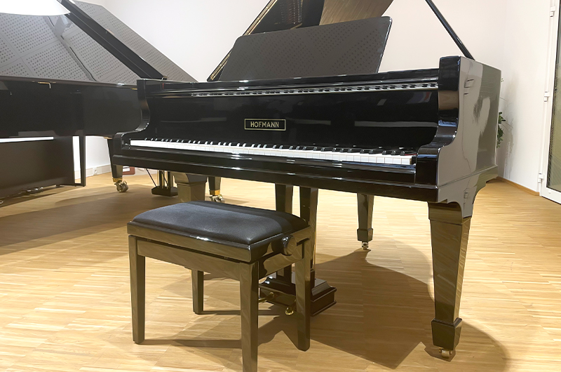 Hofmann Mignon - Hofmann