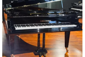 C.Bechstein B-203 - C.Bechstein