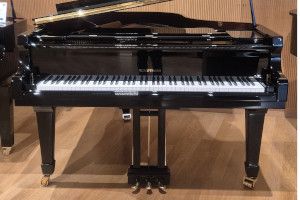 Hoffmann V-175 - W.Hoffmann
