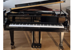 Fischer F-161 - Fischer