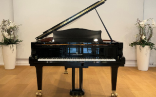 Concert B-212 - C. Bechstein