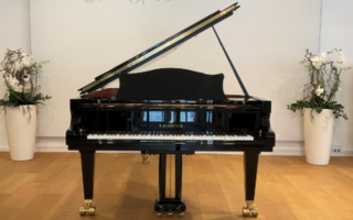 Concert C-234 - C. Bechstein