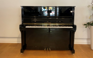 C 8 - C. Bechstein