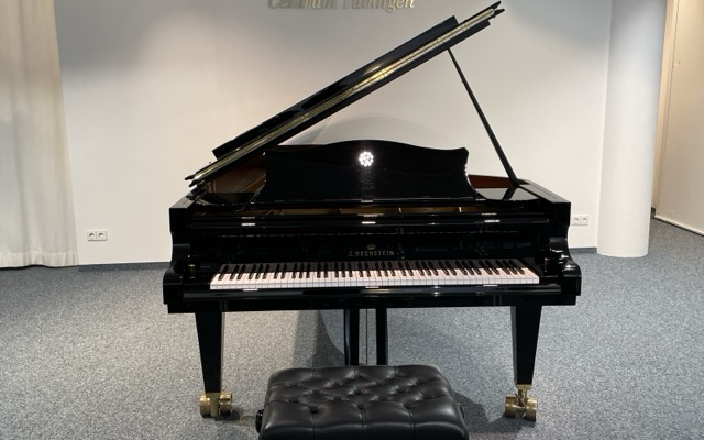 Concert D-282 - C. Bechstein