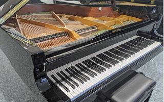 Tradition T 161 - W.Hoffmann