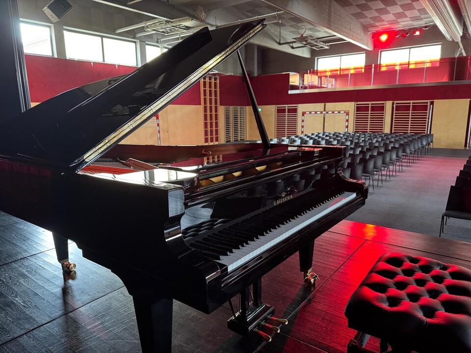 B-212 - C. Bechstein