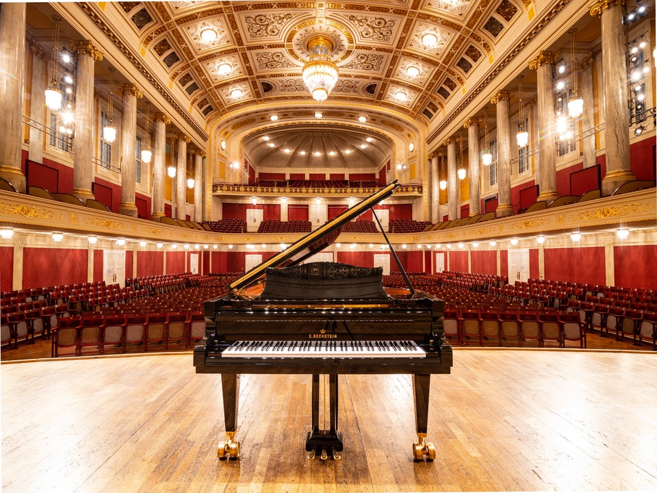 D-282 - C. Bechstein