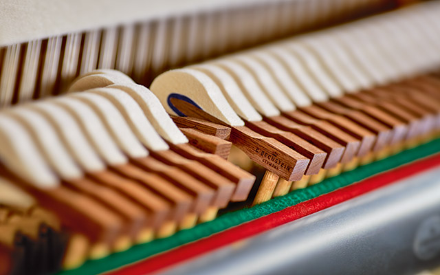 C. Bechstein Hammerköpfe