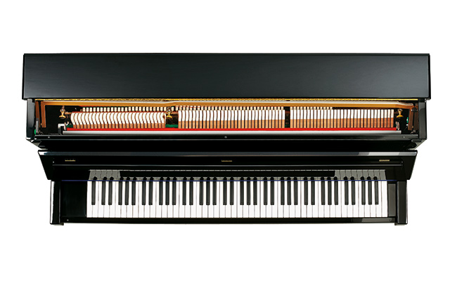 C. Bechstein A 124 Imposant
