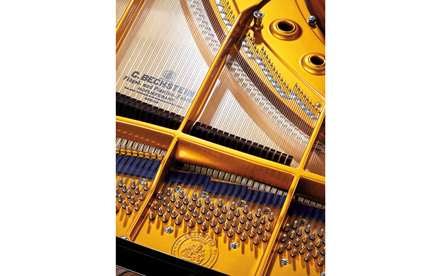 C. Bechstein C 234