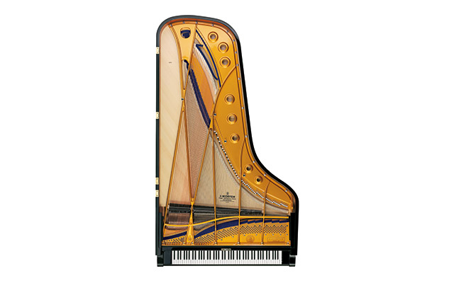 C. Bechstein D 282